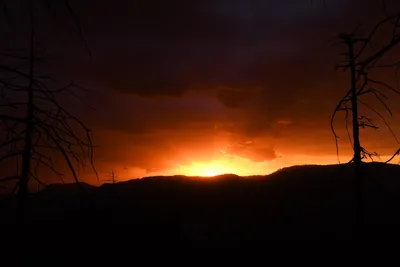 DSC_4571 (Large).JPG